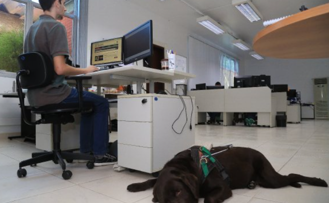 Empregabilidade de PcDs cresce em Santa Catarina Imagem 6